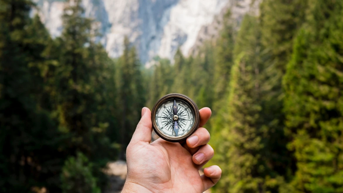 navigating-npo-compliance-financial-intelligence-2